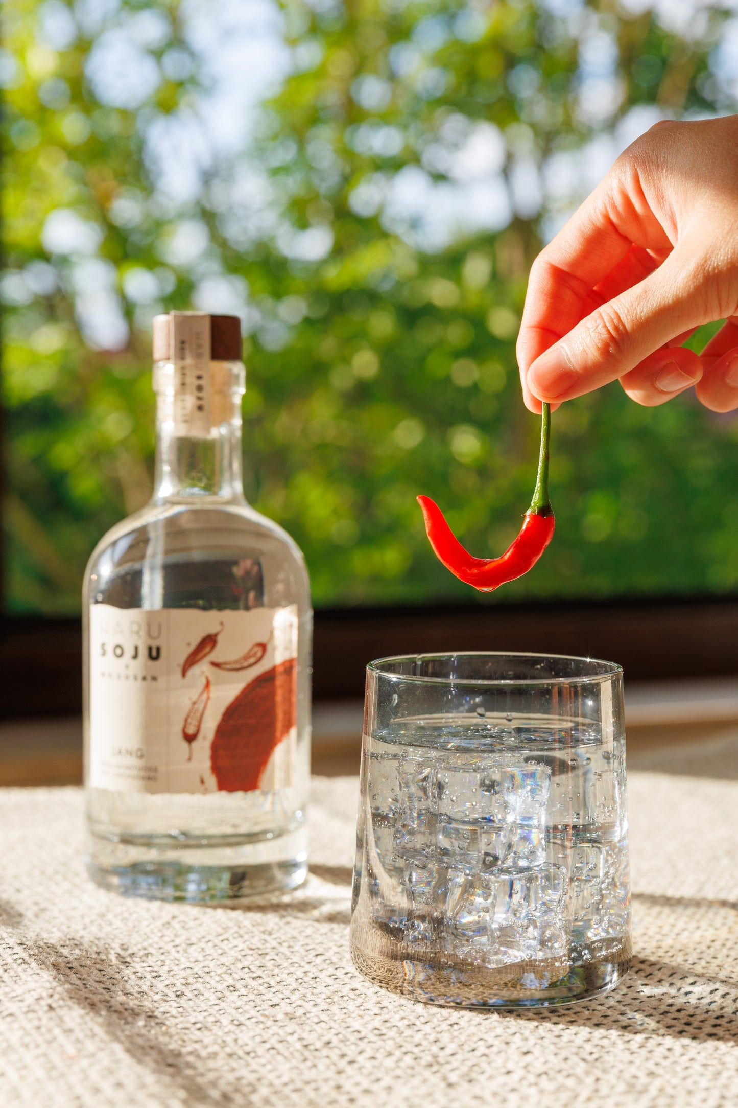 HARU SOJU JANG