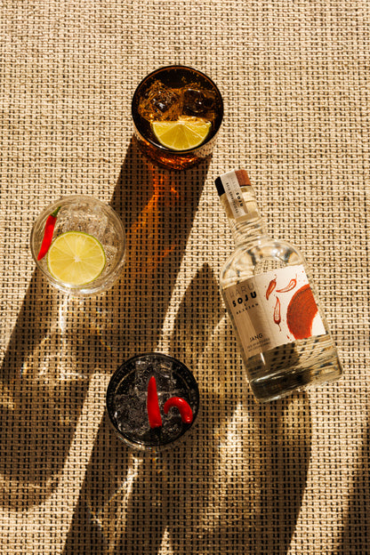 HARU SOJU JANG